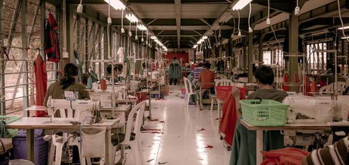 銷售新紀元 瓴羊如何破局“數據孤島”與“系統林立”之困